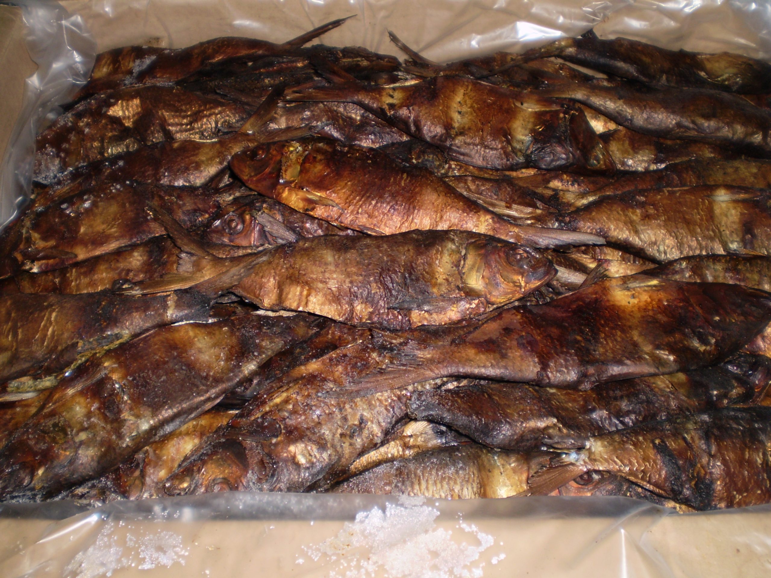 Smoked Herring Medium