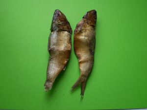 Smoked Sardinella