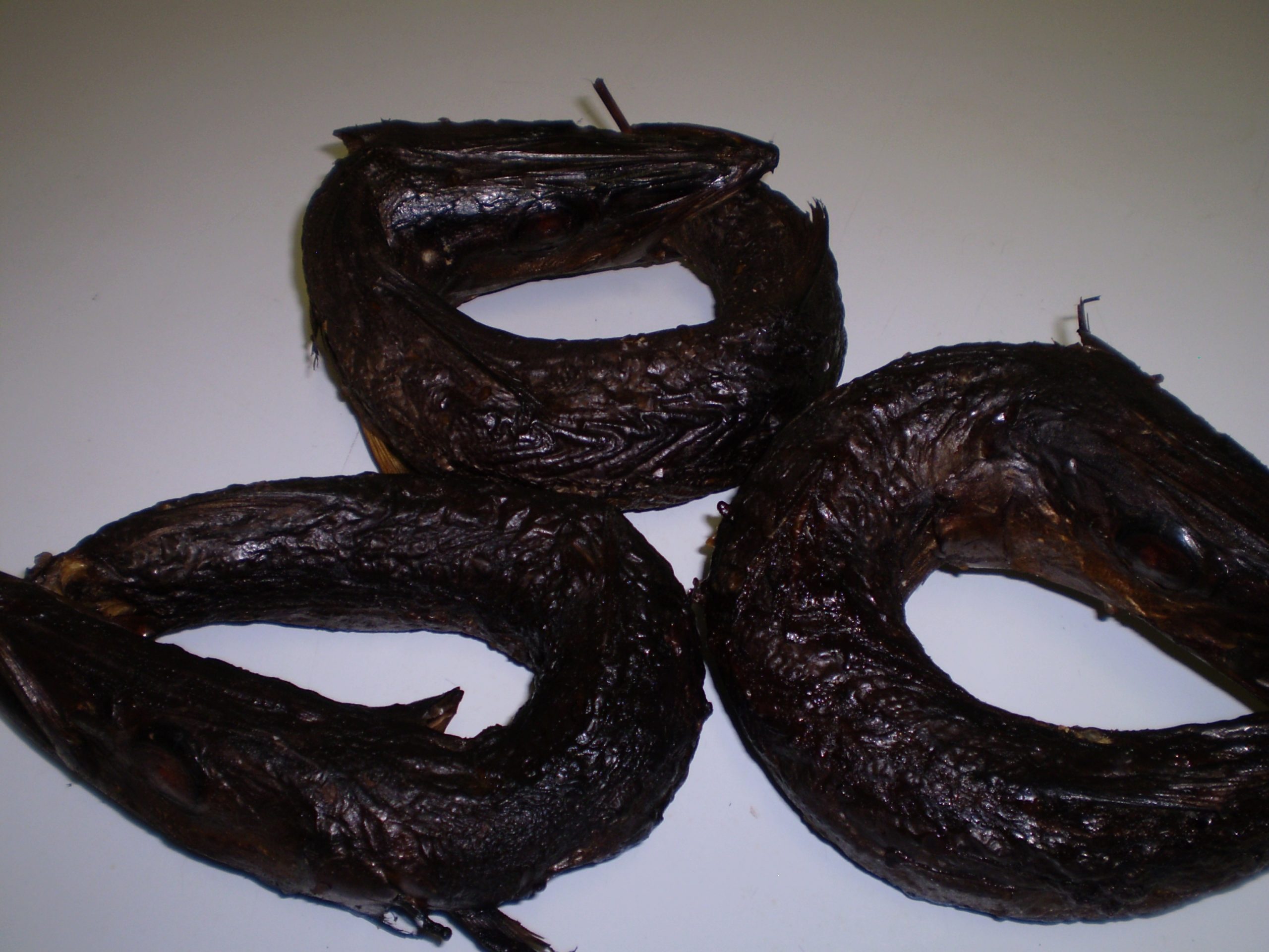Smoked Baracuda RIng