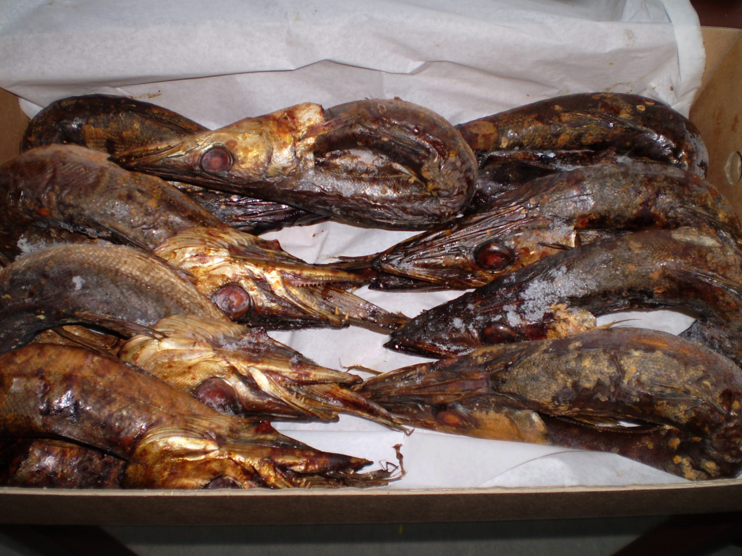 Smoked Baracuda Ring