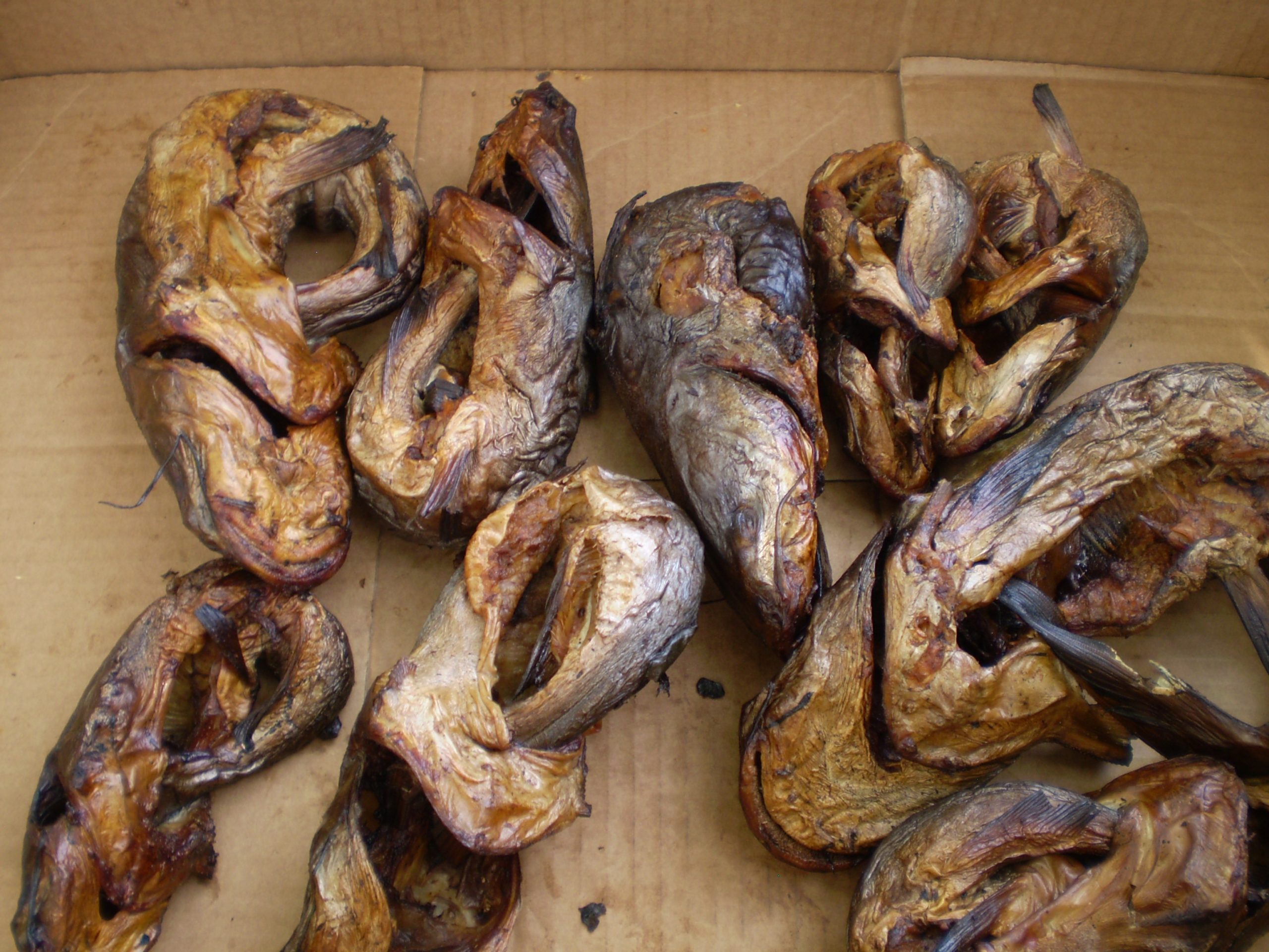 Smoked Catfish Ring